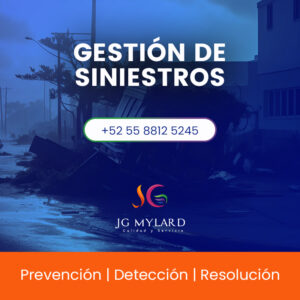 gestion_siniestros